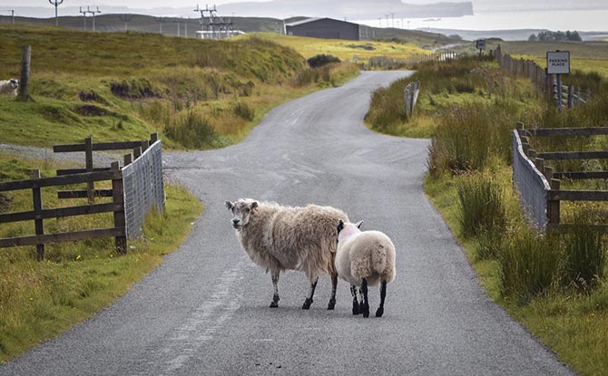 某某機(jī)械設(shè)備有限公司